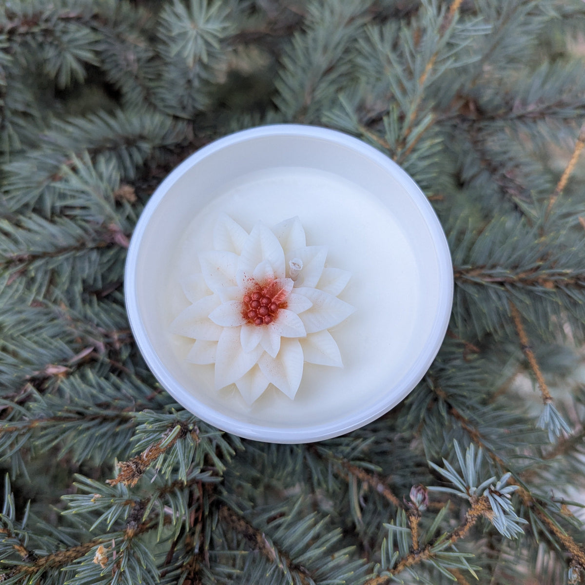 *Pre-order!* The Gentle Manifestor ~ Christmas Ritual Box '26 Fire • Scent • Light ~